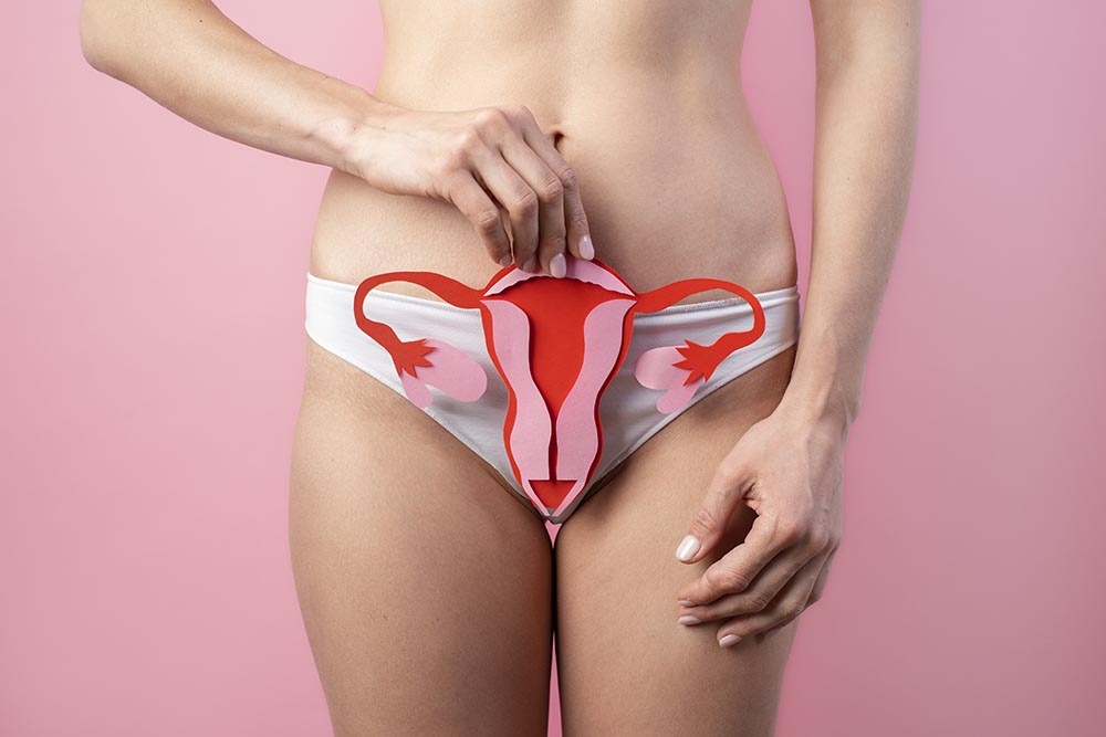 paper ovary held by woman near her reproductive system