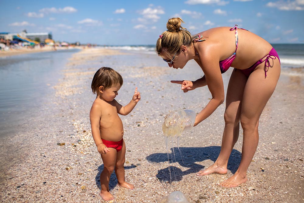Mom shows her son a jellyfish standing on the sea coast