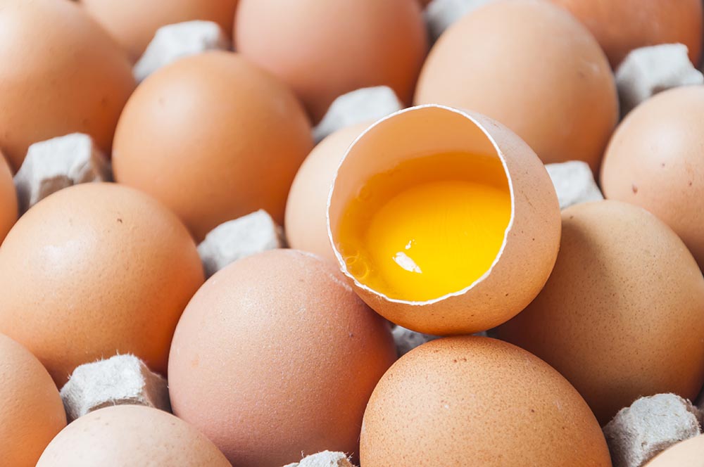 ไข่ไก่กับไข่เป็ดประโยชน์ต่างกันอย่างไร